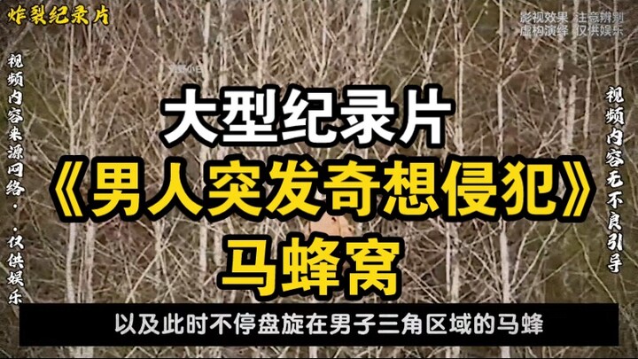 Documentary “Man Suddenly Has a Wild Idea to Raid a Hornet’s Nest”
