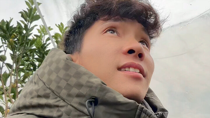 Bạn bè ở tỉnh khác có hiểu lầm gì về quất vàng không?