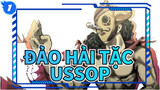 Đảo hải tặc
Ussop_1