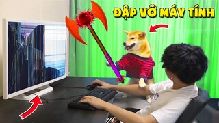 Thú Cưng Vlog | Chó Shiba Ngầu Nhất Thế Giới #15 | Chó thông minh vui nhộn | Smart dog funny pets