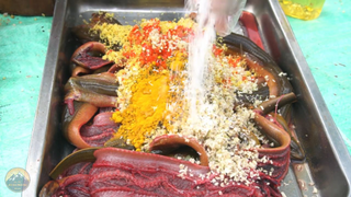 BẮT LƯƠNG CỰC KHỦNG AO NHÀ CỤ ĐẲNG LÊN LÀM MÓN