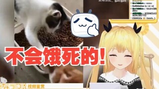 นักเรียนสาวญี่ปุ่นชม “โอ๊ย อันตรายมาก วินาทีเดียวจะอดตาย”
