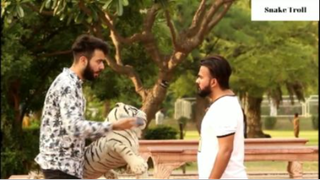 Fake tiger prank 4 #ranbiettroll