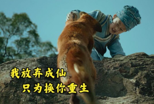 Người đàn ông cứu một con cáo, nghìn năm sau con cáo từ bỏ cơ hội thành tiên để đổi lấy sự hồi sinh 