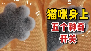 猫咪身上的5个神奇开关，最后一个超有用！