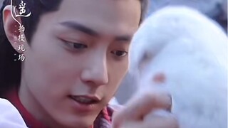 战战对小动物毫无抵抗力，养小动物吧，说不定能骗个战战回家！两个小可爱对视了！！！