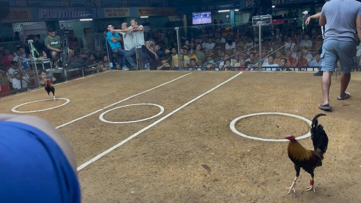 Playstyle of My duke hulsey Lemon