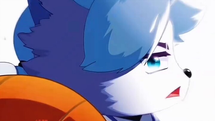 The Wolf Team won consecutive championships with its strong individual strength and established a dy