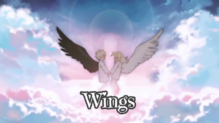 Wings