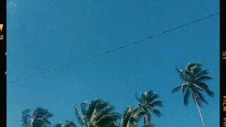 Nature 😊