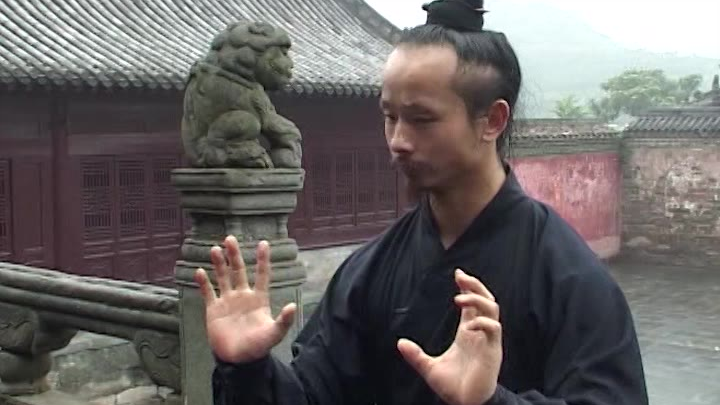 Taoist Master Chen Shixing demonstrates the实战 application of Longhua Quan.