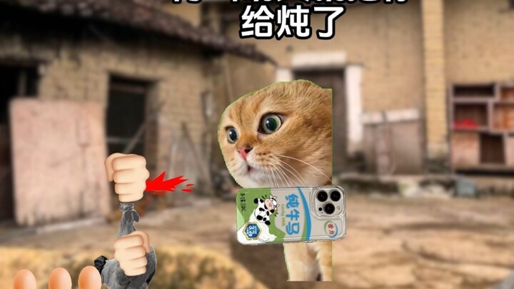 当你放假回农村