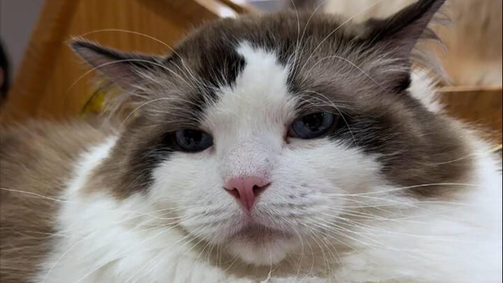 Opening a small shop is really tough