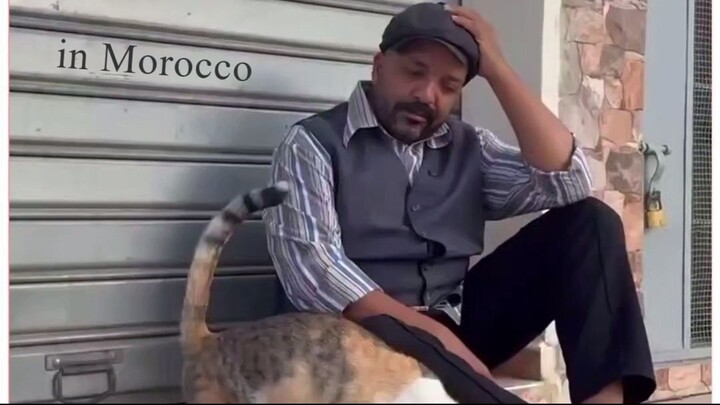 ما بقاو يشدو فيران ما بقاو