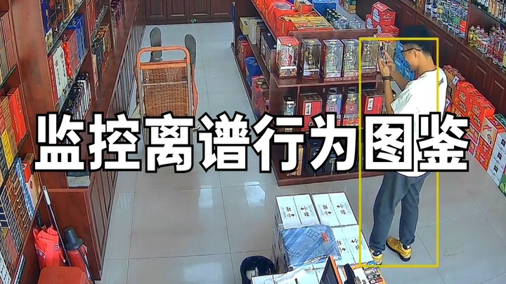 监控离谱行为图鉴