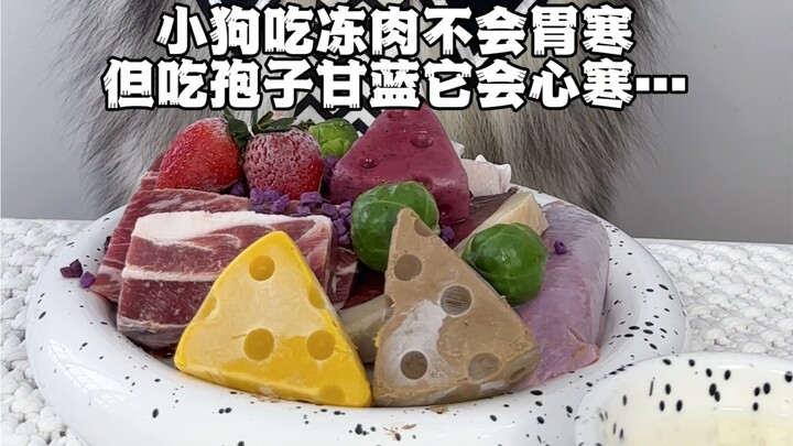 Puppies won’t get a cold stomach from eating frozen meat, but eating Brussels sprouts will break the