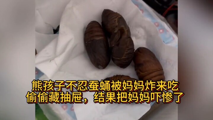 A naughty kid couldn’t bear to see mom frying silkworm pupae for dinner, so he secretly hid them in 