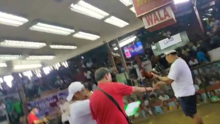 2nd fight pachampion🏆🐓 SOTA for the win