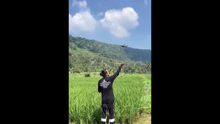 Surga Hijau di Kaki Pegunungan