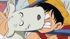 Best and Epic Moments One Piece - East Blue Funny Moments Compilation One Piece