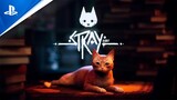 Stray - Tráiler 4K de la FECHA DE LANZAMIENTO en PS5 | PlayStation España