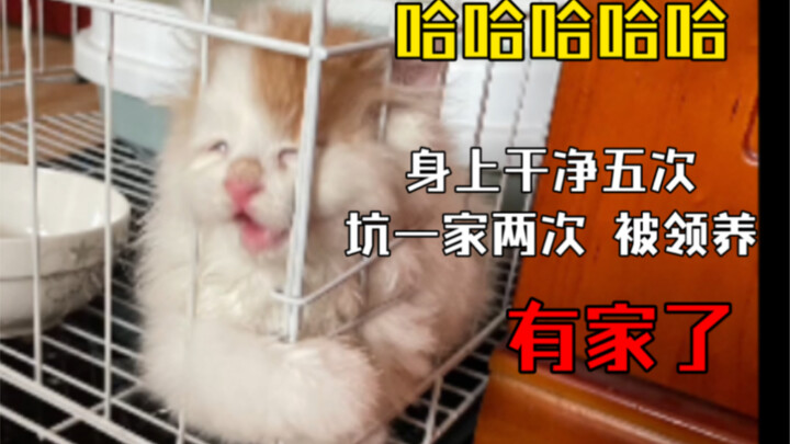 This is the video where I’ve “adopted” 7 times: 5 clean runs + 2 “not-so-clean” fails for a family o