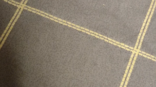 把怜悯扔出去，它要是立起来我就开播，立不起来我就睡觉