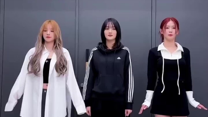 Dog Cube Challenge-(G)I-DLE