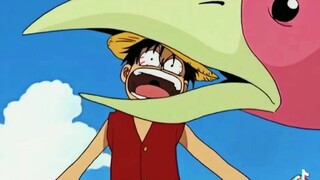 Luffy being Idiot to anything