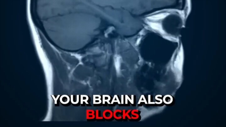 I Investigated the Most Disturbing Facts About Human Bodies