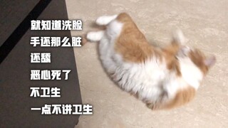 papi酱的小咪：今天又被批评不讲卫生，注意力不集中了...姜老师好严格啊
