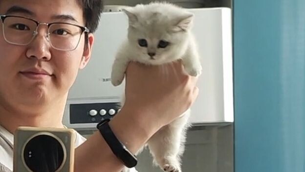 วิดีโอที่ถ่ายมาหนึ่งปี น้องแมวอายุครบหนึ่งขวบแล้ว!