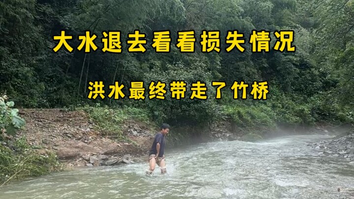 Sau trận lũ, dẫn các bạn xem khu vườn rau củ giờ ra sao rồi