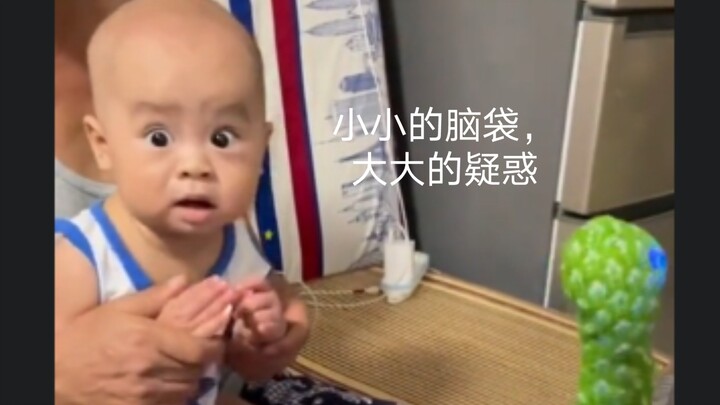พฤติกรรมชวนงงของเด็กน้อยมนุษย์ 3