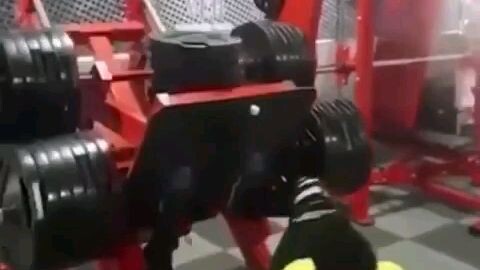 kaki nya sampe patah