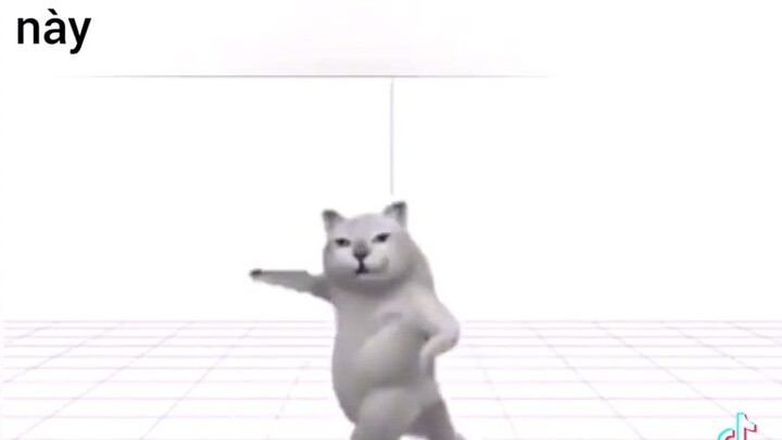 đội ngũ điều chỉnh kiểu:)