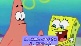 原来海绵宝宝不是动画片，而是纪录片