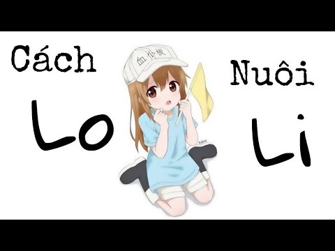 Gọn #5: Cách bạn thực sự nuôi Loli