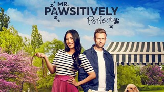 Mr. Pawsitively Perfect (2023) | Romance | Western Movie