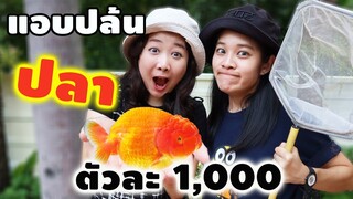 พาไปดูปลาทองรันชูที่บ้าน Birdyard Channel ตัวละ 1,000 บาท