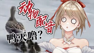 创意配音🌞 鸭 灭 噜 ？