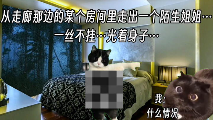 【Meme kucing】Tentang kakak perempuan aneh yang saya temui di sebuah hotel kecil di kota kabupaten le