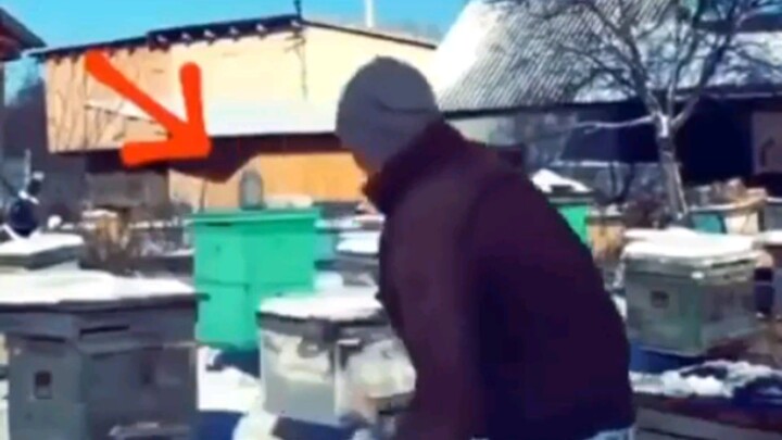 awas jgn di liat...#serius🤐