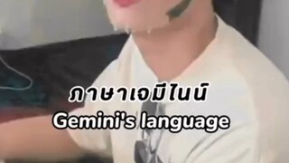 Gemini's language