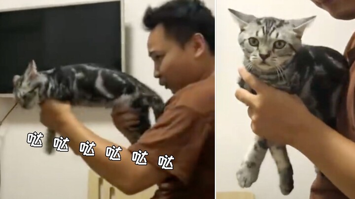 Meow: You lazy human, I can tell you’ve gone crazy from playing PUBG! Put me down right now!