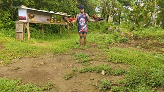 palihok sa mga ganador...