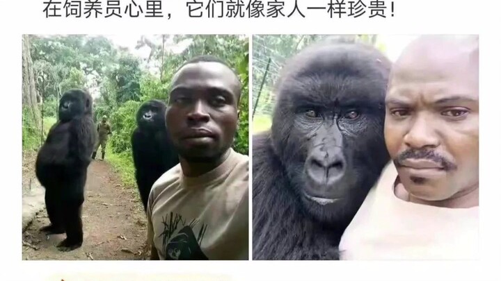 Silly Pics and Epic Comebacks