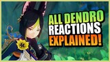 All New DENDRO REACTIONS Explained In Genshin Impact