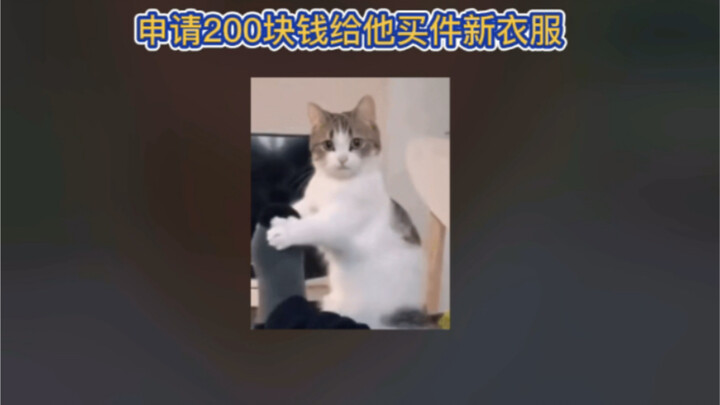 Bố tôi thực sự có thể bịa ra một câu chuyện vô lý như vậy chỉ để lừa tiền mọi người mua một bộ trang
