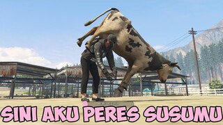 dudung suka memeras.